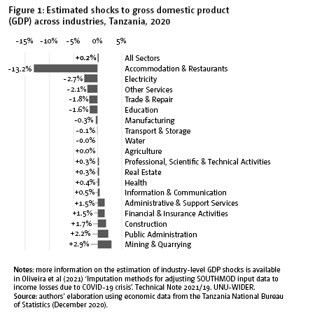 Figure 1: Estimated shocks to gross domestic product (GDP) across industries, Tanzania, 2020