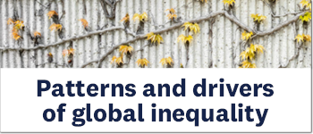 Patterns and drivers of global inequality