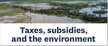 Taxes, subsidies, and the environment