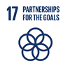 SDG17