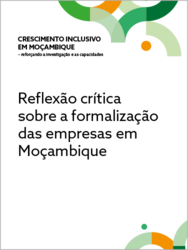 Reflexão crítica sobre a formalização das empresas em Moçambique